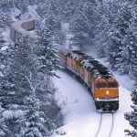 【旅行】穿越林海雪原，火车破雪飞驰
