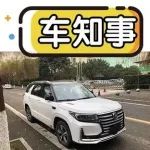 自主中大型SUV