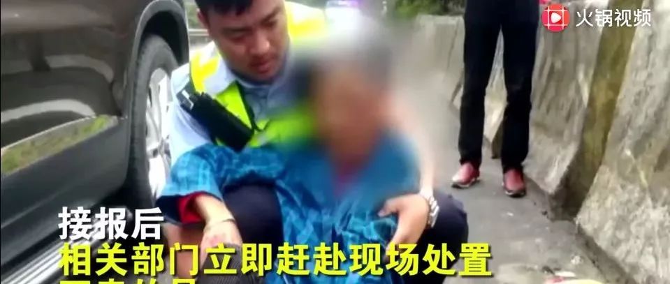 大媽橫穿高速被撞身亡，車輛正常行駛負次責？網(wǎng)友評論炸了！