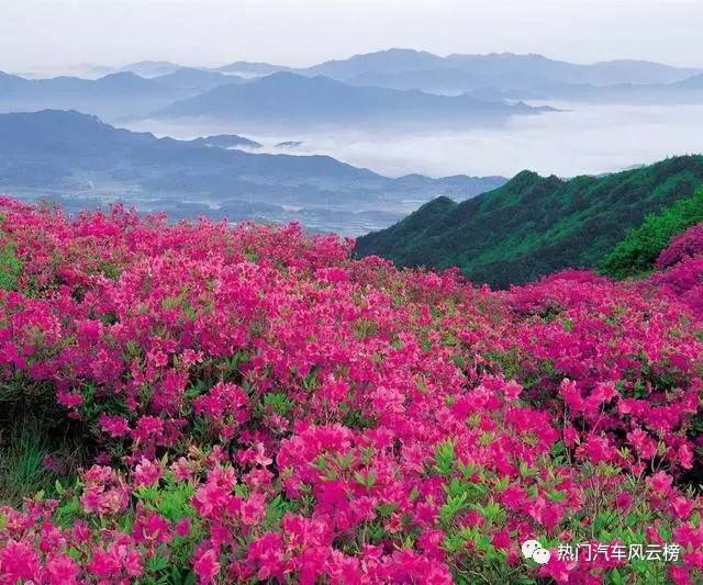 清明時(shí)節(jié)雨紛紛 最適合越野踏青祭祖的SUV推薦