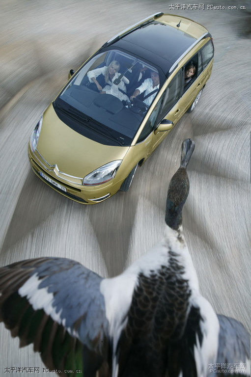 C4 PICASSO^DƬ