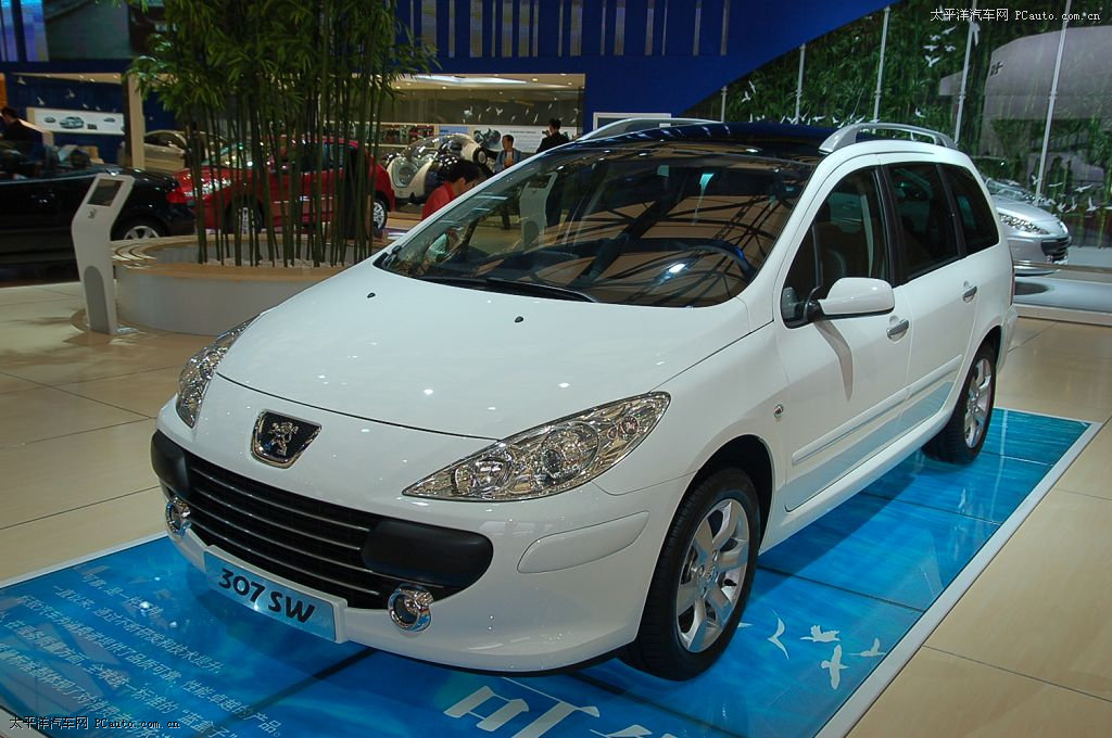 標(biāo)致307車展高清大圖