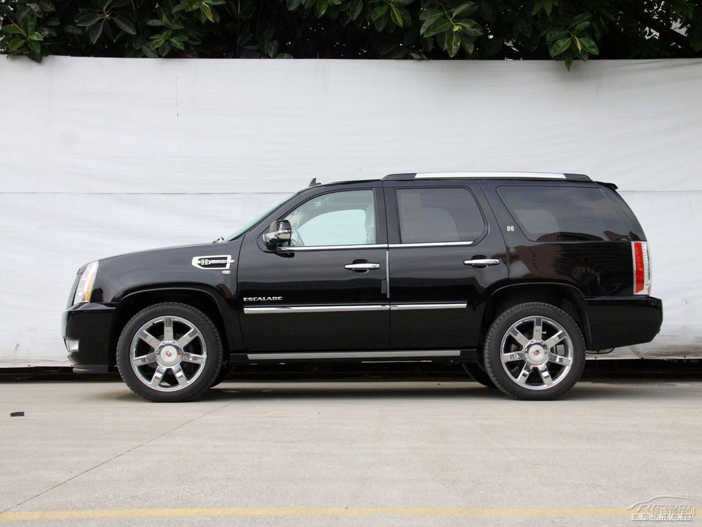 źڄP׵ESCALADE܇^^DƬ