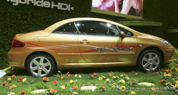 307DƬ