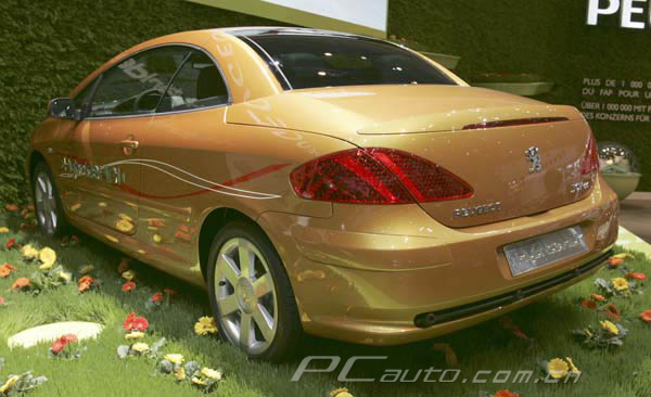標(biāo)致307車(chē)展高清大圖