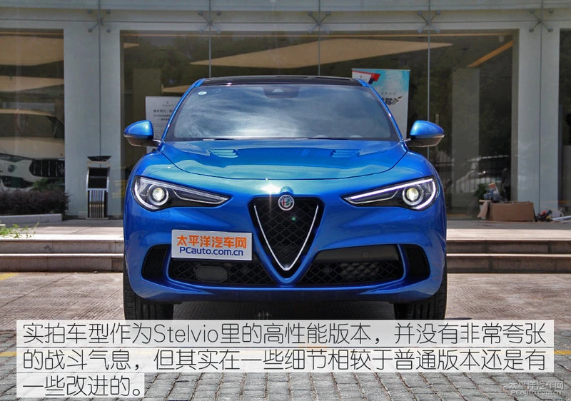 闃垮皵娉曠綏瀵嗘stelvio鍥涘彾鑽�