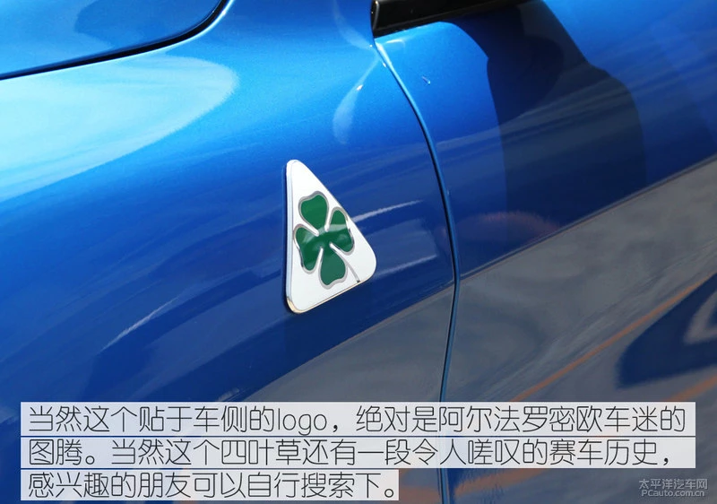 闃垮皵娉曠綏瀵嗘stelvio鍥涘彾鑽�