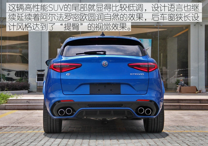 闃垮皵娉曠綏瀵嗘stelvio鍥涘彾鑽�