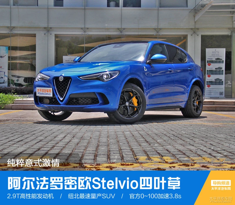 闃垮皵娉曠綏瀵嗘stelvio鍥涘彾鑽�