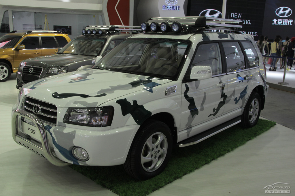 野馬F99車(chē)展高清大圖