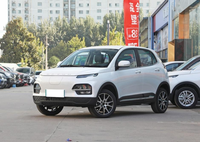 不要只盯着宏光MINI EV，这个纯电小车也不贵，还是5座的