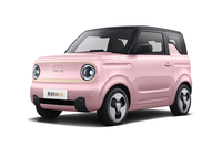 熊猫mini首发，看样子不输宏光MINI EV！