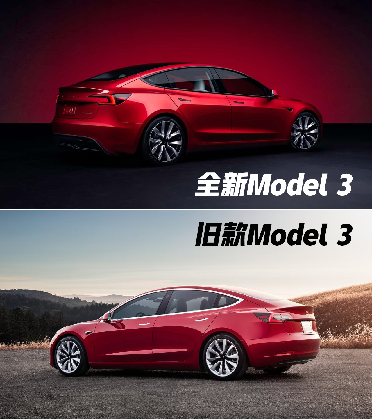 特斯拉model3价格及图片图片