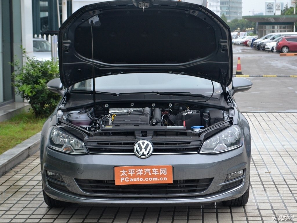 季風(fēng)灰高爾夫發(fā)動(dòng)機(jī)其它細(xì)節(jié)圖片