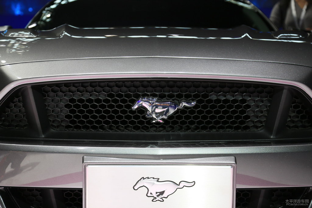 MustangDƬ