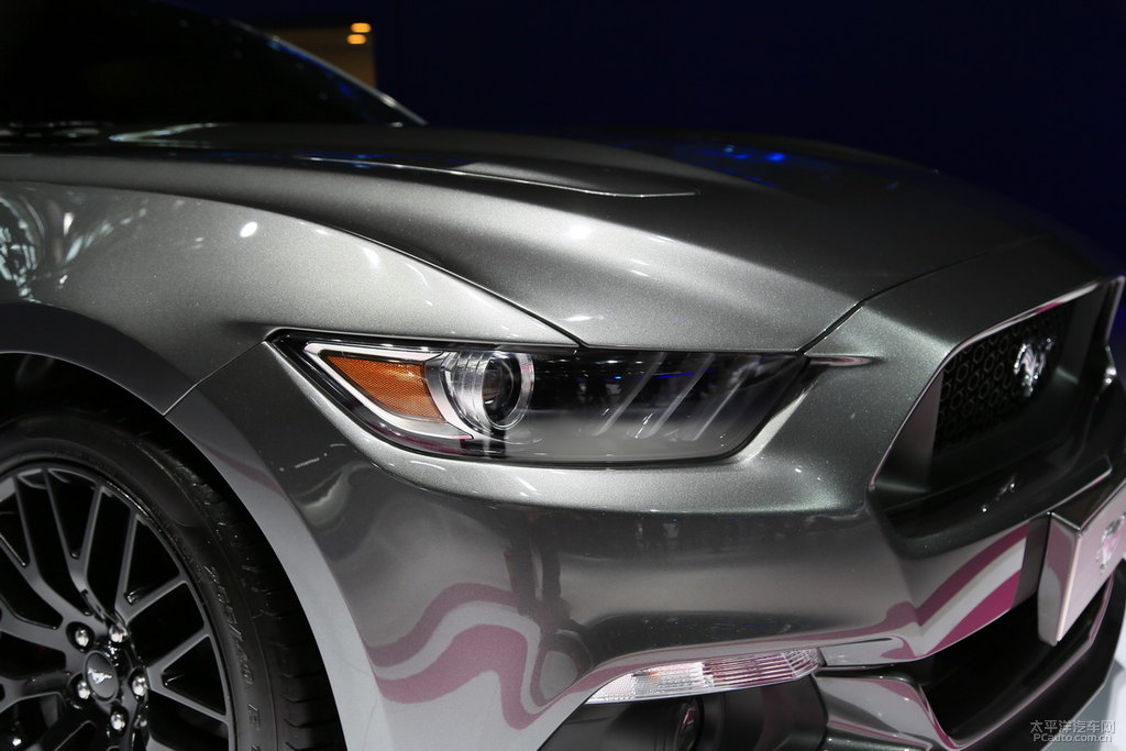 MustangDƬ