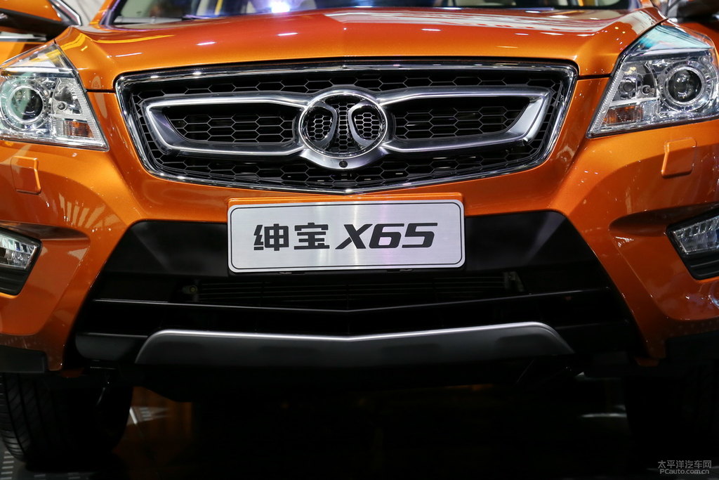 X65DƬ