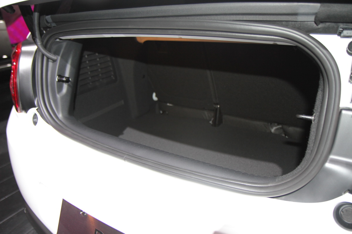 DS 3車(chē)展高清大圖