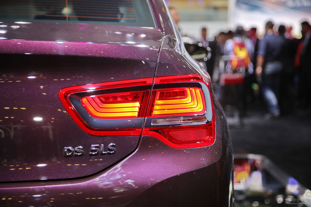 DS 5LSDƬ