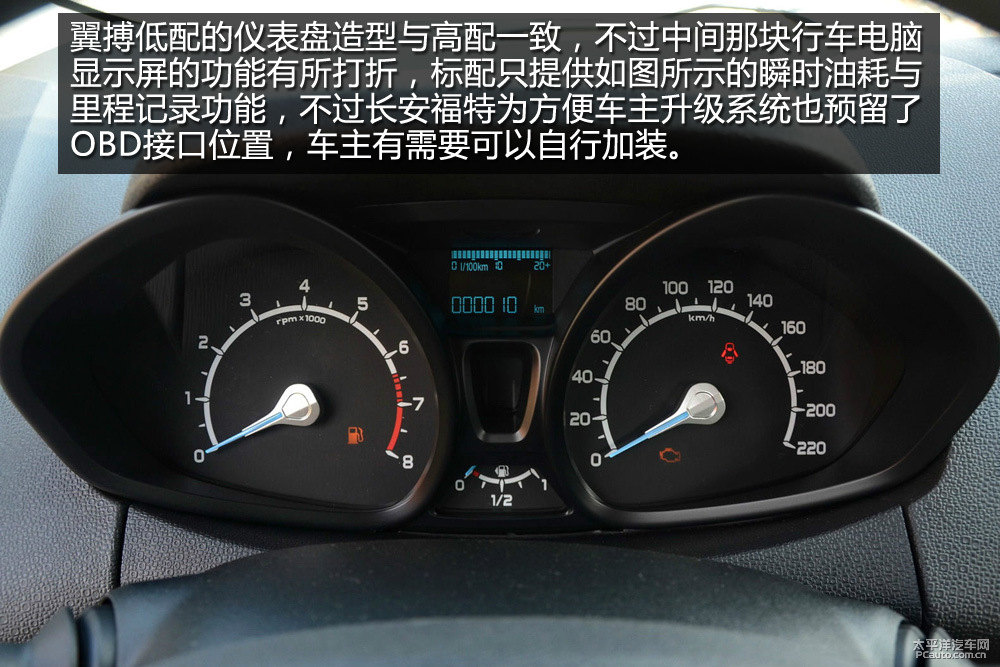 翼搏圖片