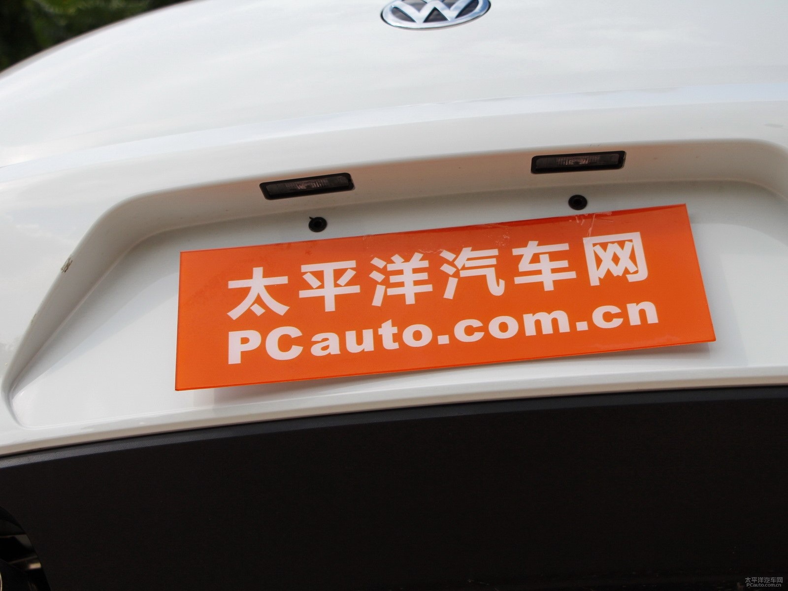 甲殼蟲外觀高清大圖