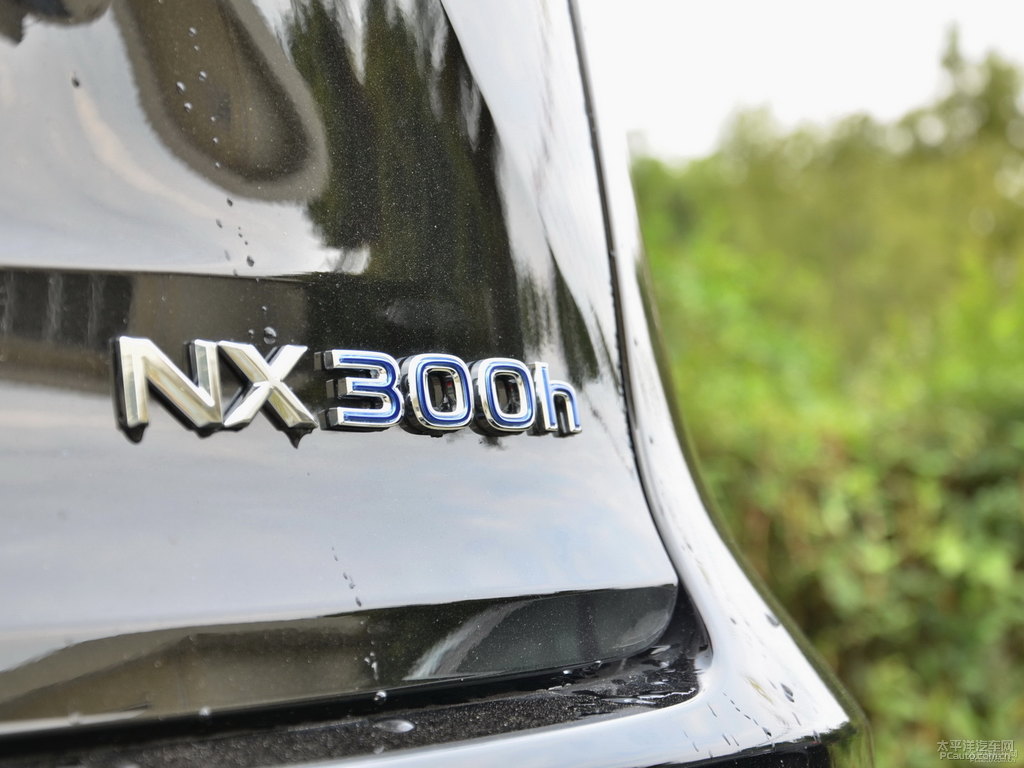 黑色雷克薩斯NX車尾外觀圖片