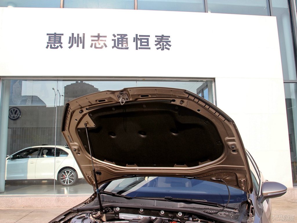 塔希提金高爾夫發(fā)動機其它細節(jié)圖片
