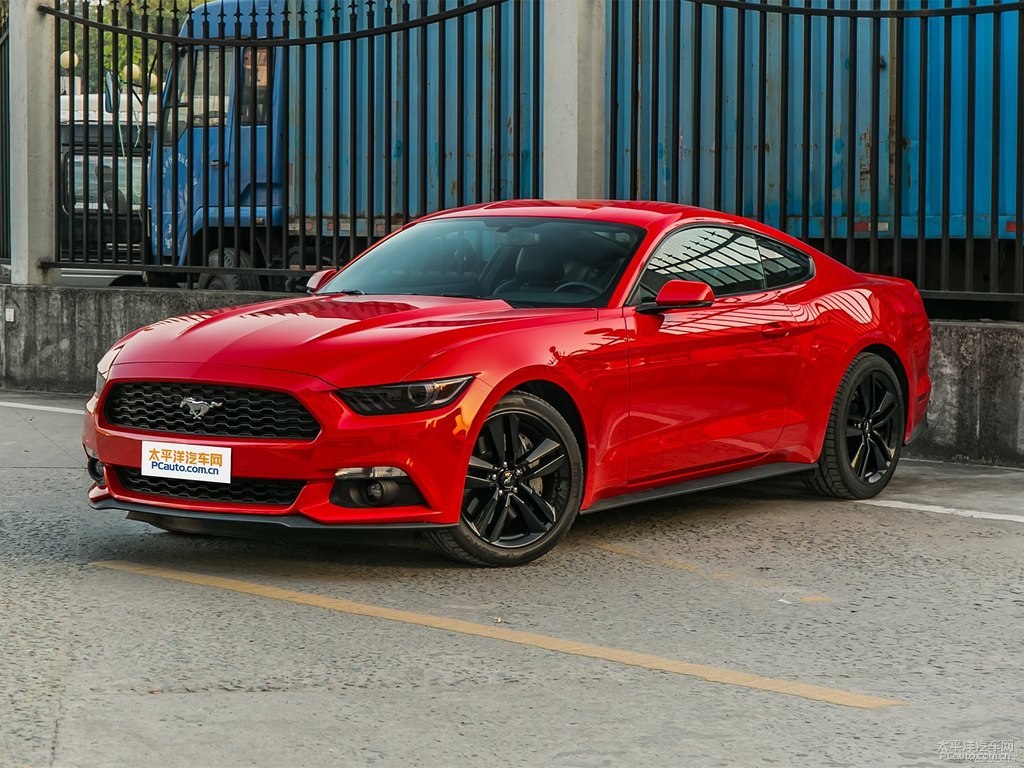tMustang܇^^DƬ