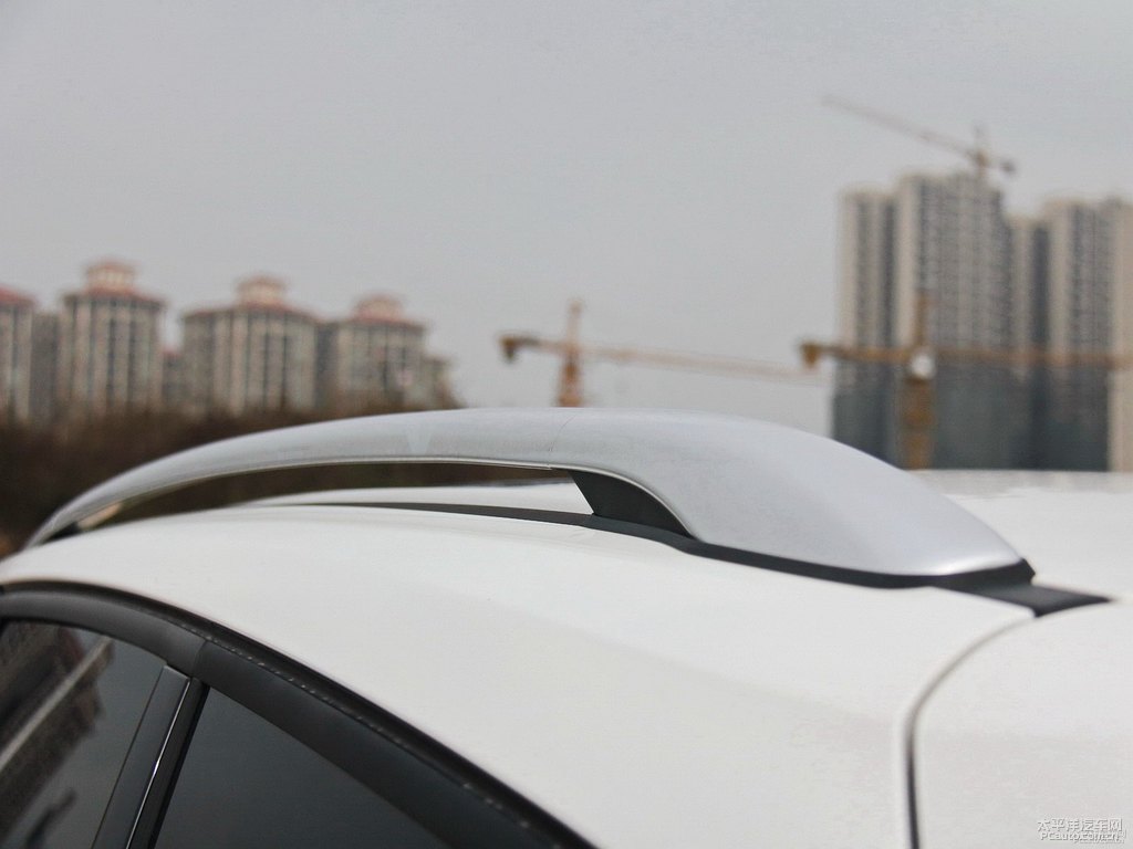 典雅白翼虎車身外觀圖片