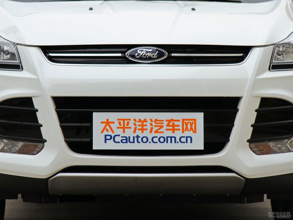典雅白翼虎車頭外觀圖片