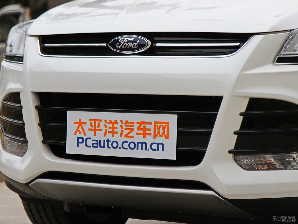 典雅白翼虎車頭外觀圖片