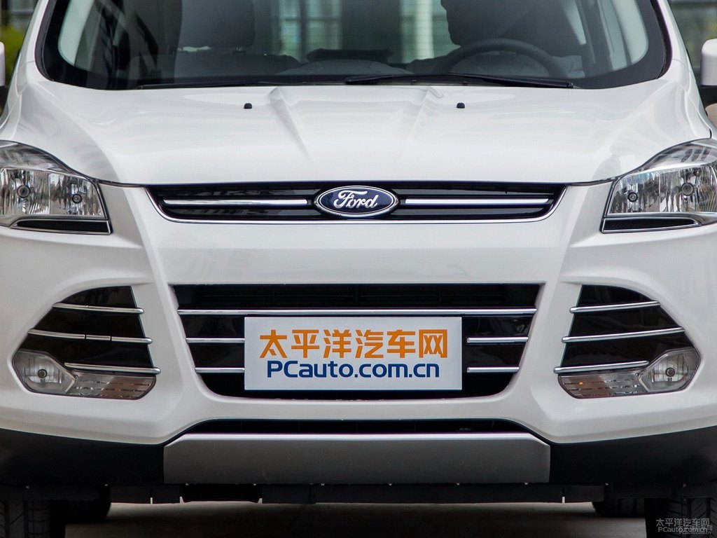 典雅白翼虎車頭外觀圖片