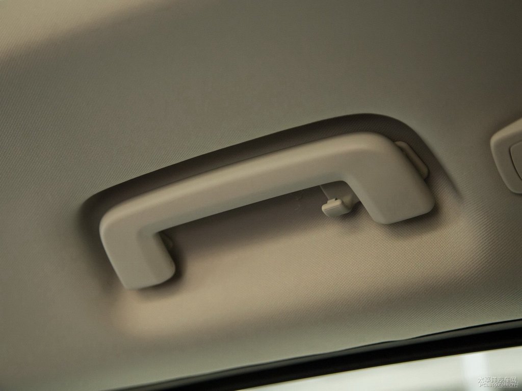 琥珀金翼虎車廂內(nèi)飾圖片