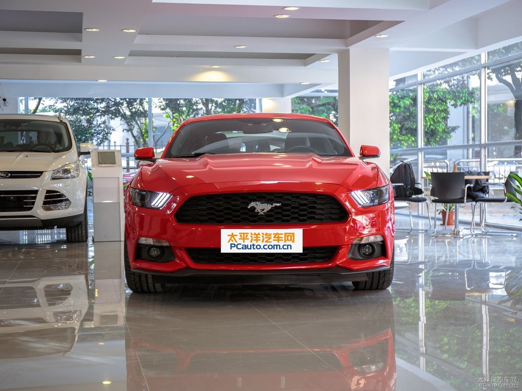 tMustang܇^^DƬ