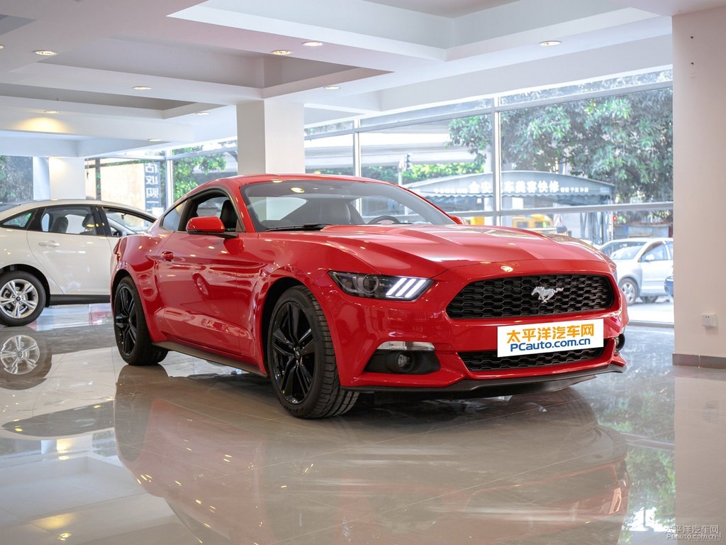 tMustang܇^^DƬ