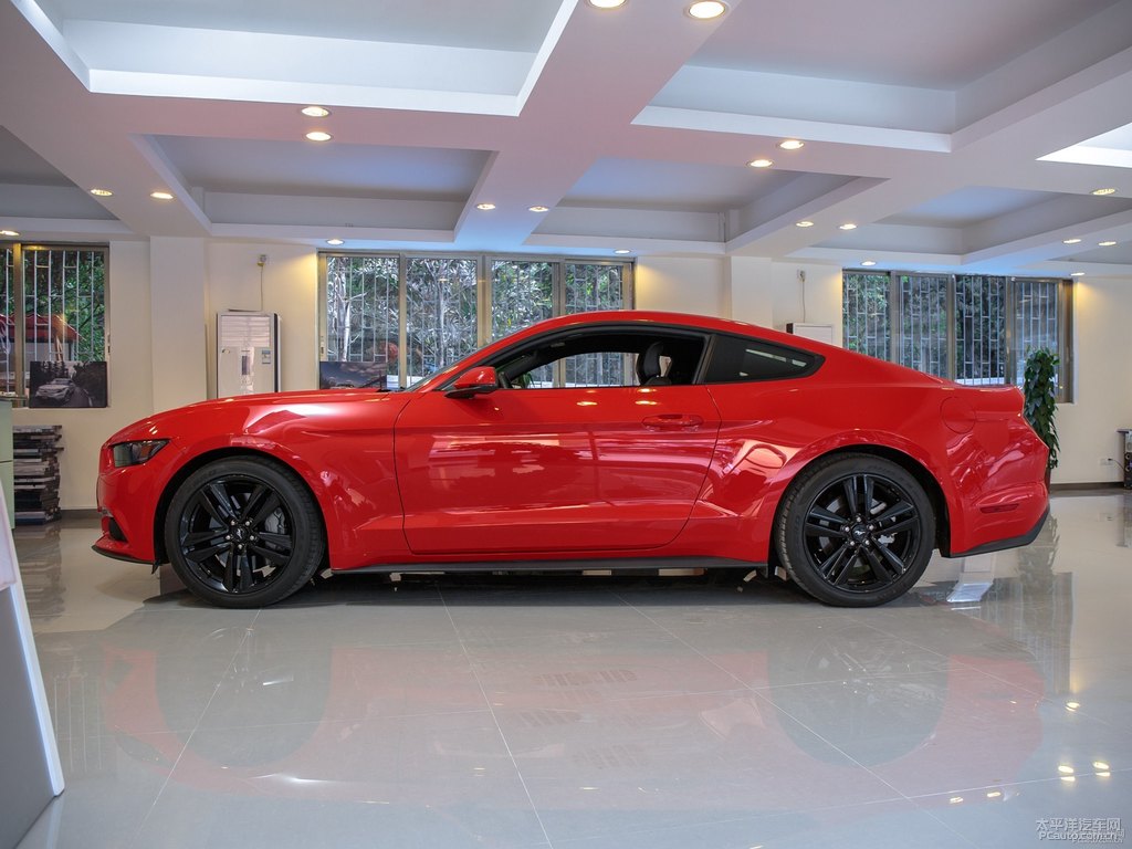 tMustang܇^^DƬ