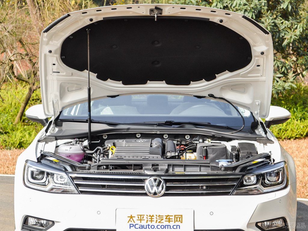 凜冽白凌渡發(fā)動機其它細節(jié)圖片