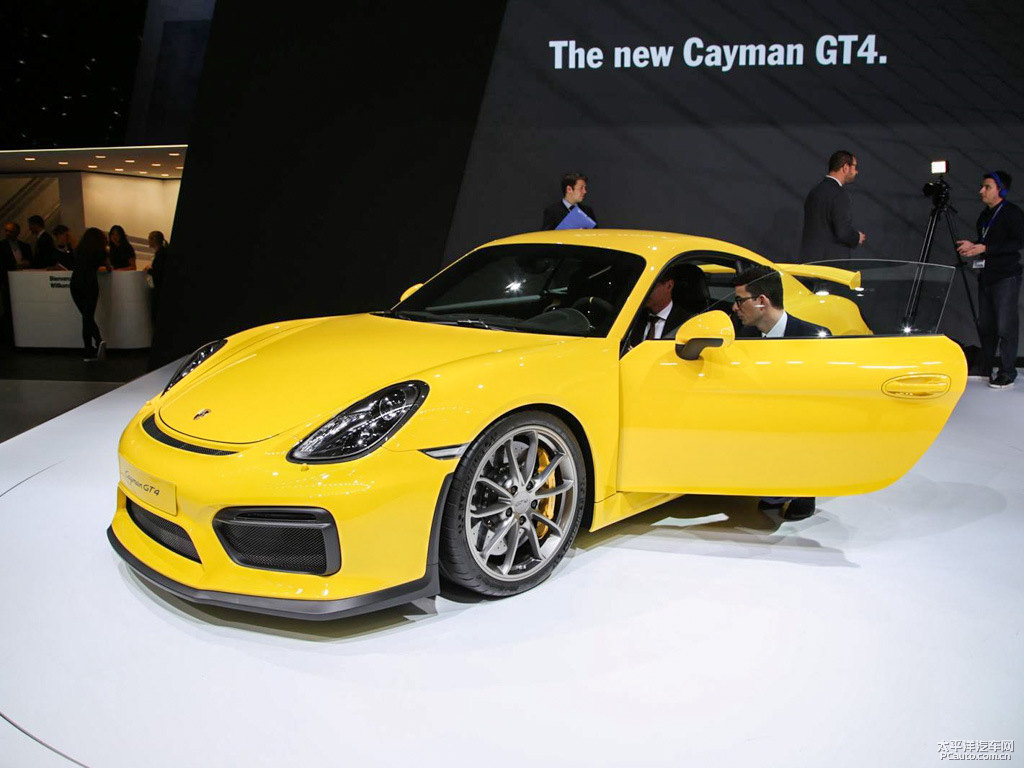 Cayman܇^^DƬ