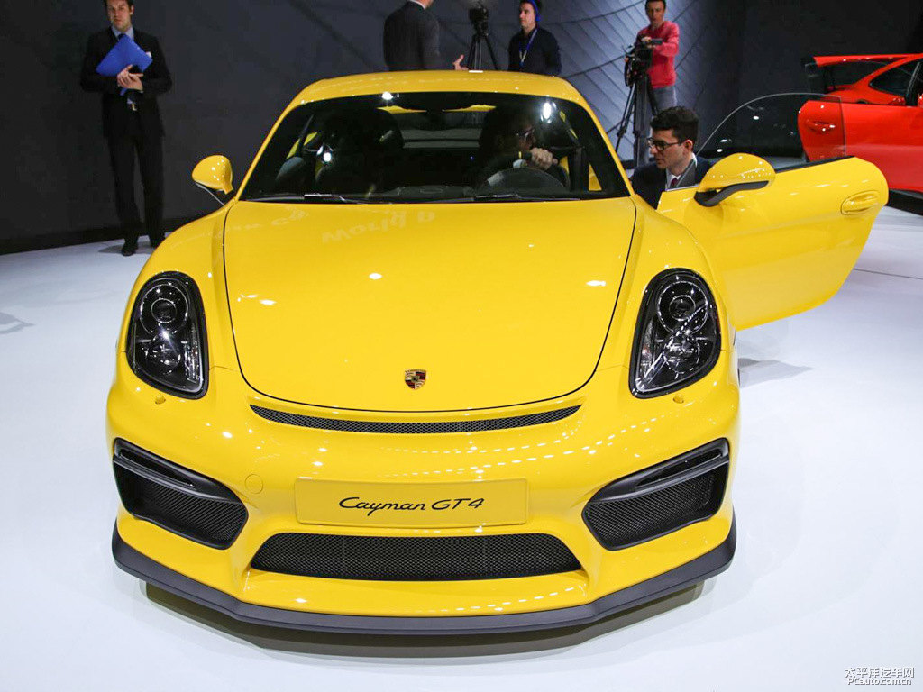 Cayman܇^^DƬ
