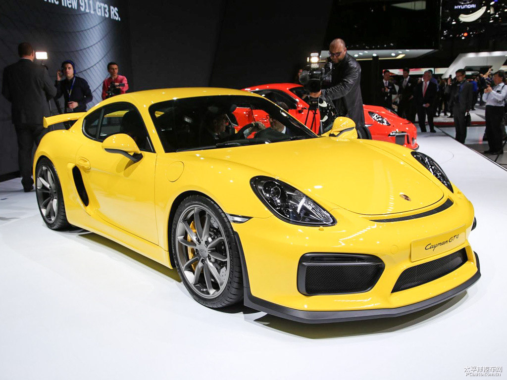 Cayman܇^^DƬ