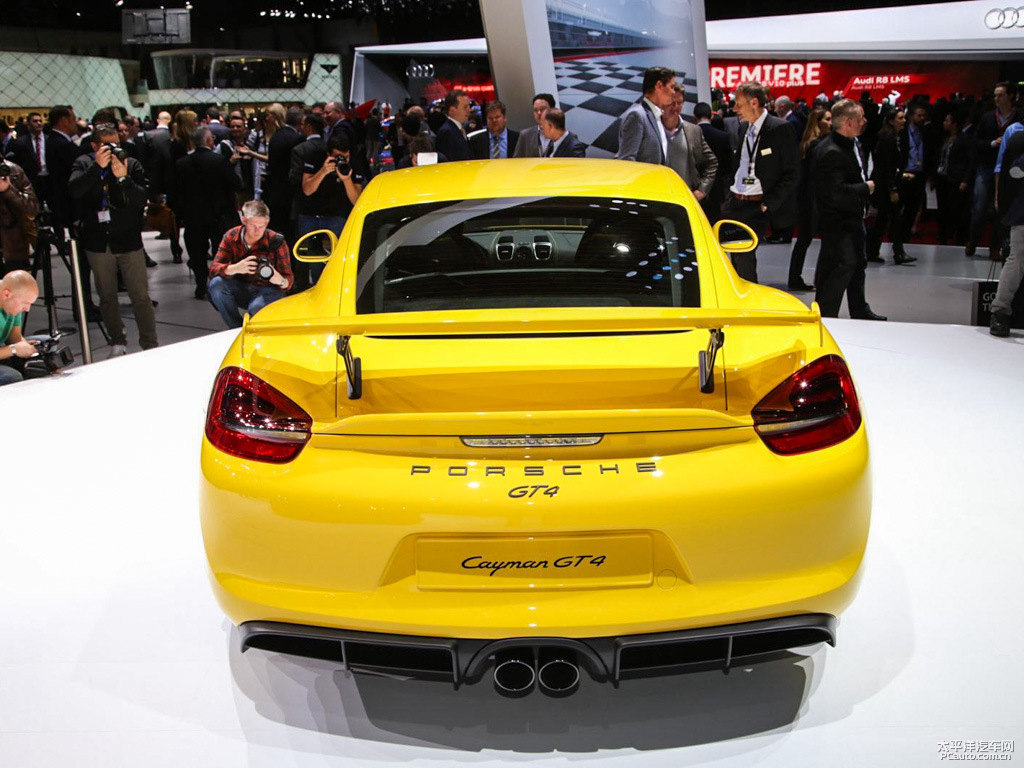 Cayman܇^^DƬ