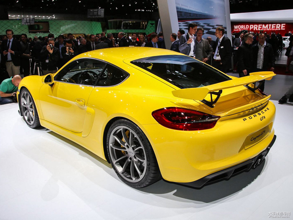 Cayman܇^^DƬ