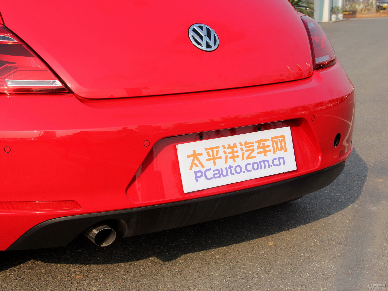 甲殼蟲(chóng)外觀高清大圖