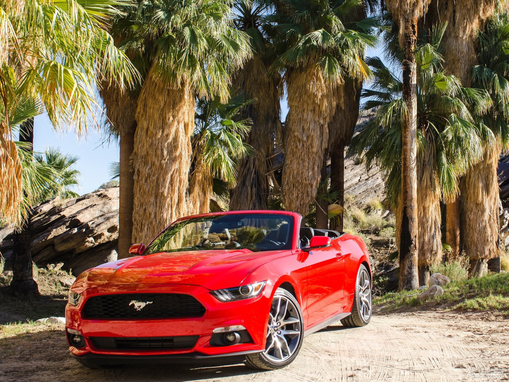 福特Mustang外觀高清大圖