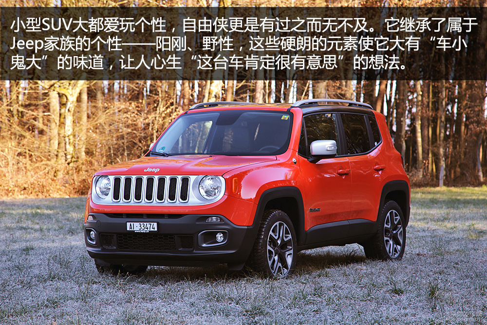 自由俠(進(jìn)口)圖解高清大圖