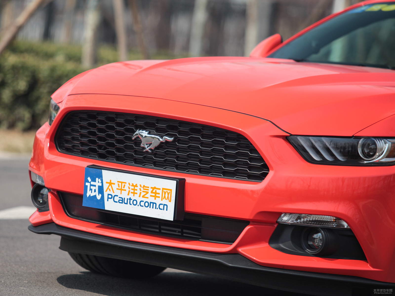 福特Mustang外觀高清大圖