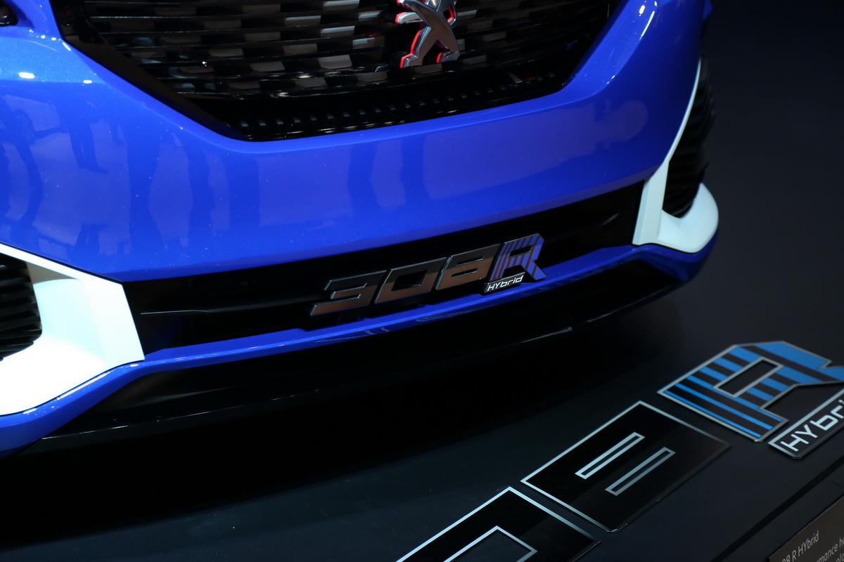 308DƬ