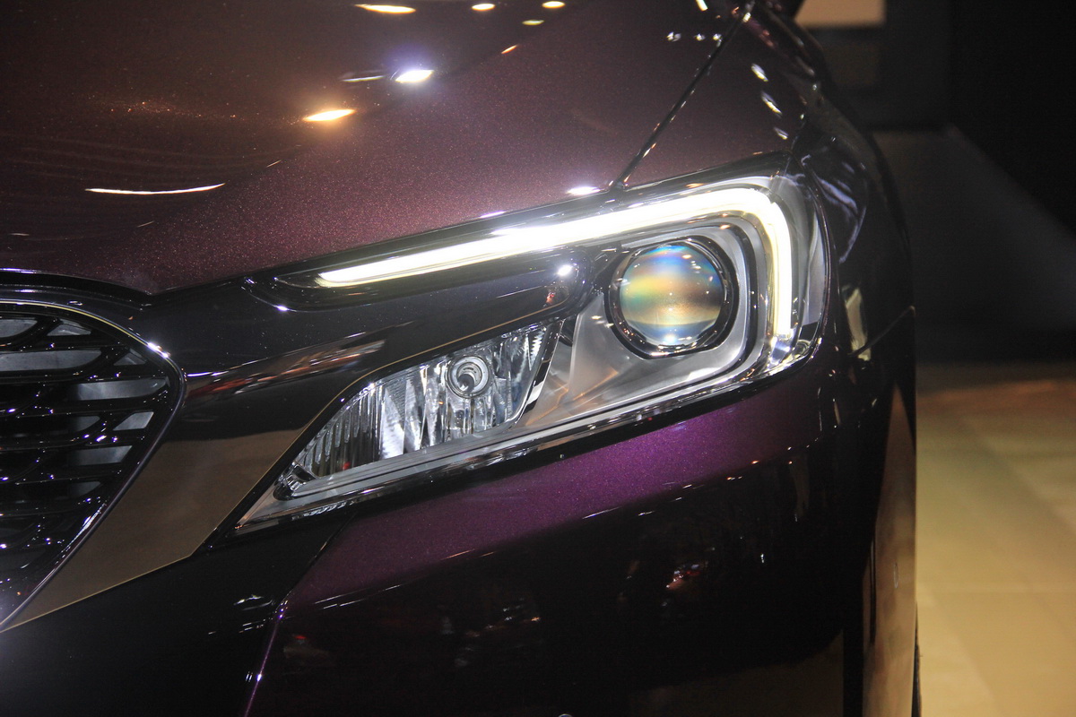 DS 5LS車展高清大圖