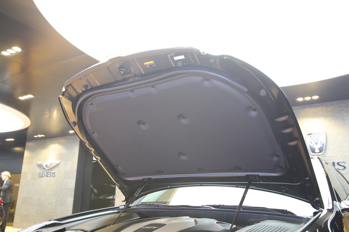 雅科仕車展高清大圖