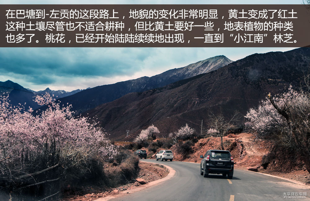 普拉多圖片